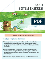 Sistem Ekskresi - Ginjal