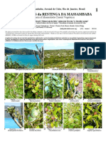 603_brazil-useful_plants_of_arraial_do_cabo_rj