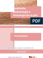 Anatomia, Embriologia e Histologia de La Piel