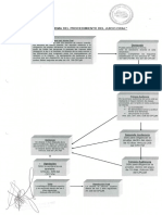 Esquema Del Juicio Oral