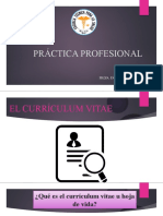 El Curriculum Vitae