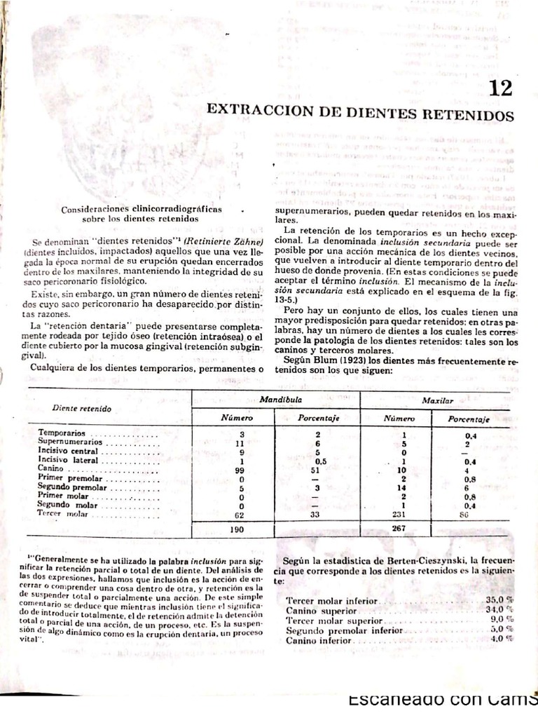 Dientes Retenidos: Qué Son Y Cómo Podemos Tratarlos – XUVGXG
