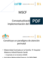 MSCF - Conceptualizacion e Implementacion Del Modelo