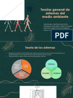 Teoria de Sistemas Del Medio Ambiente