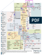 6-Biochemistry-map