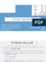 Ciclo Celular 2022-I