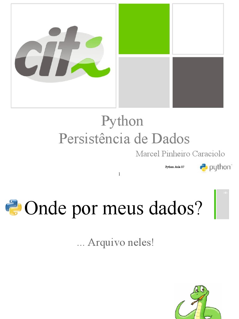 Persistência de Dados em Python | PDF | Python (linguagem de ...