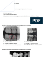Ejercicio Imagen Radiográfica de Alteraciones y Patologías