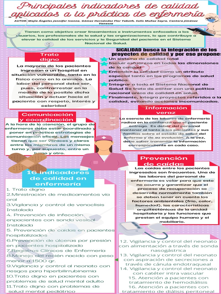 16 Indicadores de Calidad en Enfermería | PDF | Enfermería | Infantes