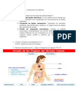 Cuestionario de Anatomia