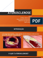 Aterosclerose: causas, sintomas e tratamento desta doença cardiovascular