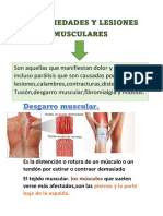 Enfermedades Y Lesiones Musculares: Desgarro Muscular