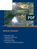 Adrenal