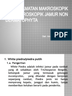 Penyakit Akibat Jamur Non Dermathophyta (Arnisa Ch. Ekayanti