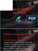 4-Temel Yasam Destegi