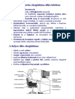 A Helyes Testtartás