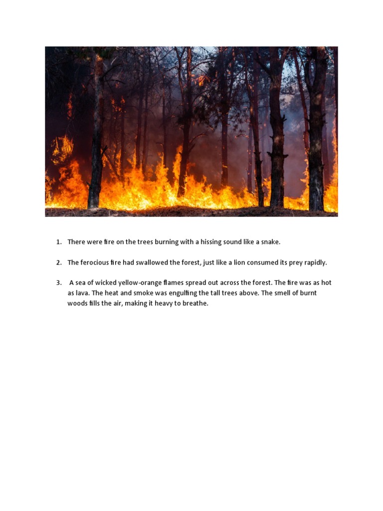 Describing Fire on Trees PDF