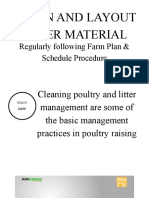Clean and Layout Litter Material: Regularly Following Farm Plan & Schedule Procedure