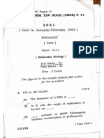 Bsc 5th sem Core-11 Molecular Biology ,Zollogy Honours