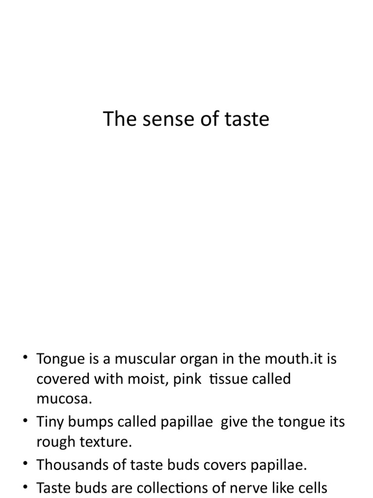 Smell and Taste PDF Taste Senses
