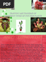 Trapping Mechanism of Plants