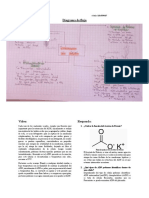 Protocolo Extraccion ADN