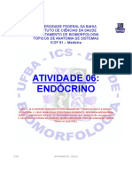 AEC06 Endocrino2