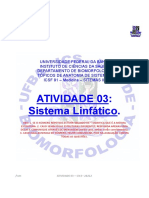 AEC12-Sist Linfatico