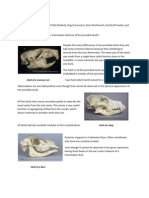 Common Mammalian Skull Features