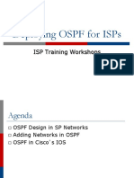 3 - OSPF For ISPs