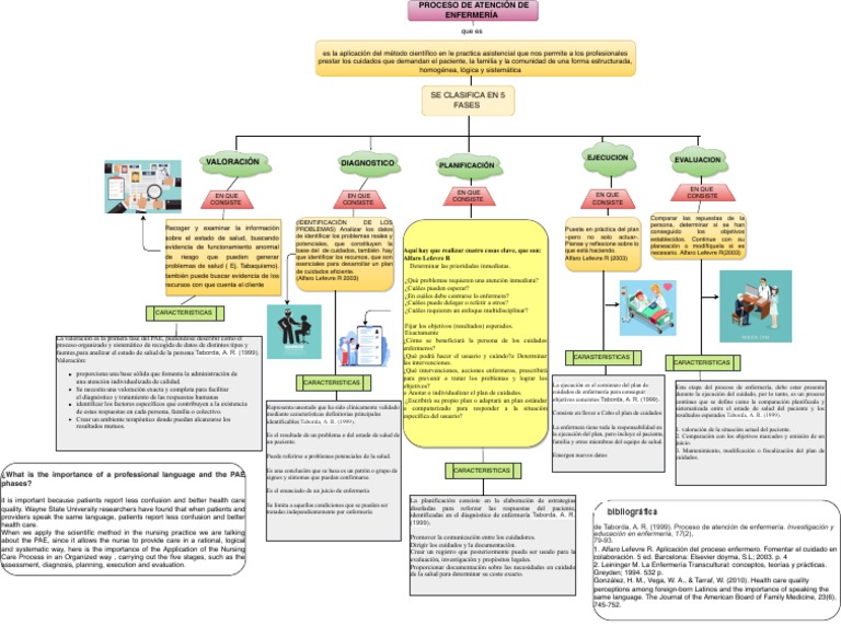 Mapa Conceptual | PDF | Ciencias de la Salud | Cuidado de la salud
