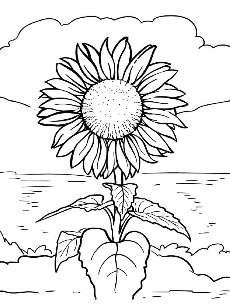 Wonder Day Sunflower Coloring Page 85 | PDF