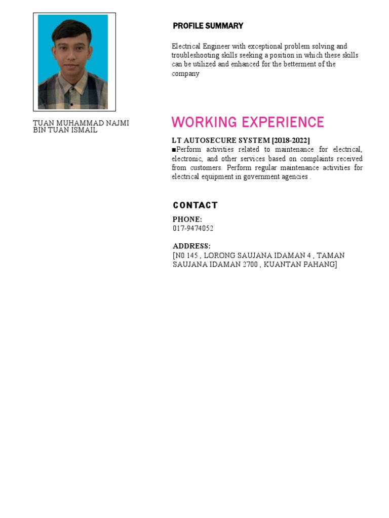 Working Experience: Profile Summary | PDF
