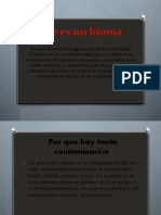 Examen Que Es Un Bioma