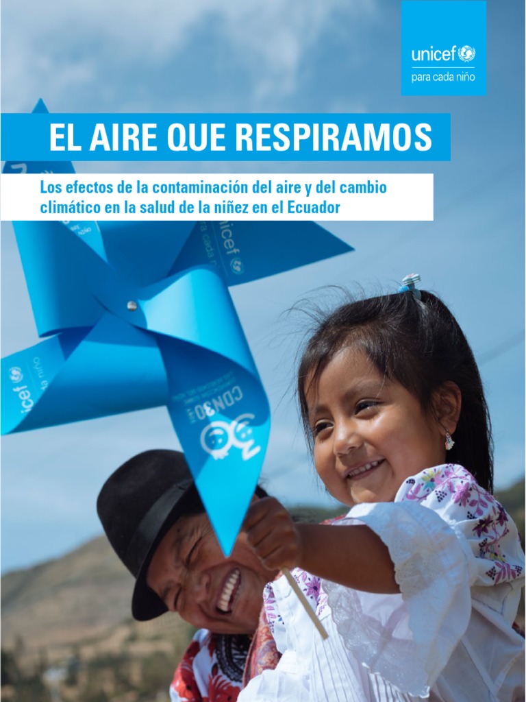 Ecuador El Aire Que Respiramos PDF | PDF | La contaminación del aire ...
