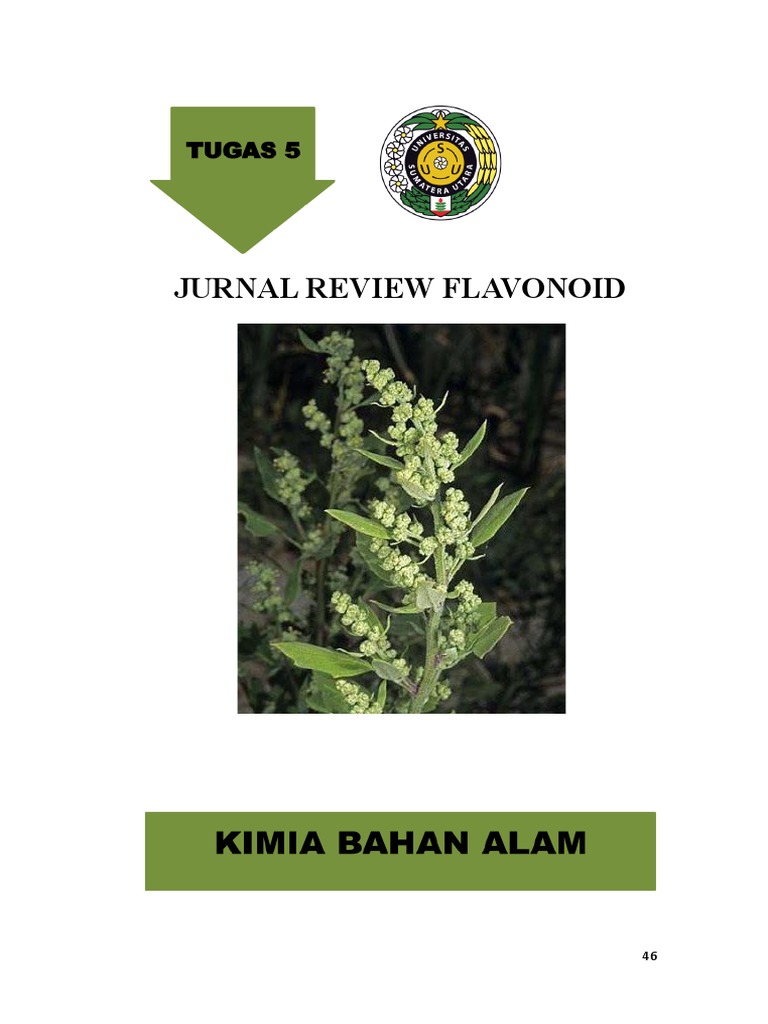 Jurnal Review Flavonoid PDF