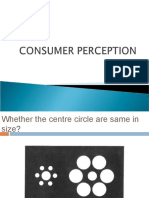 Consumer Perception