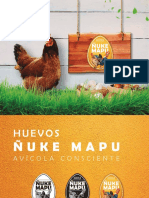 Dossier_ñukemapu2020 minorista_