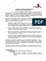 Portafolio Psicologia Organizacional 