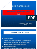 Strategic management of SBUs