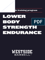 8 Week Lower Body Strength Endurance