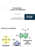 Biochem Metabolismo Ácidos Nucléicos