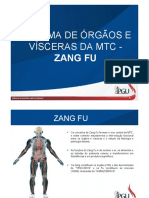Zang Fu e os conceitos centrais da MTC