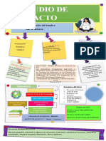 Infografia Eia