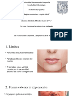 Region Mentoniana y Región Labial