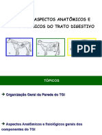 Fisiologia Da Digestão - Aula 2 - Anatomia e Fisiologia Comparada