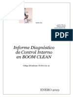 Informe Diagnóstico de Control Interno en BOOM CLEAN LTDA