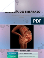 Fisiología del embarazo: cambios y adaptaciones del cuerpo materno