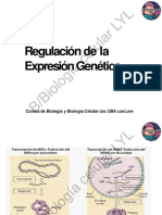 4-Regulación de La Expresión Genética