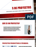 Tipos de Proyectos